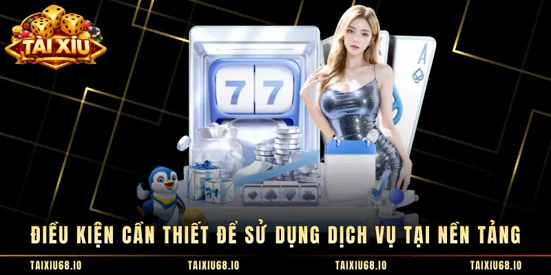 Điều kiện cần thiết để sử dụng dịch vụ tại nền tảng