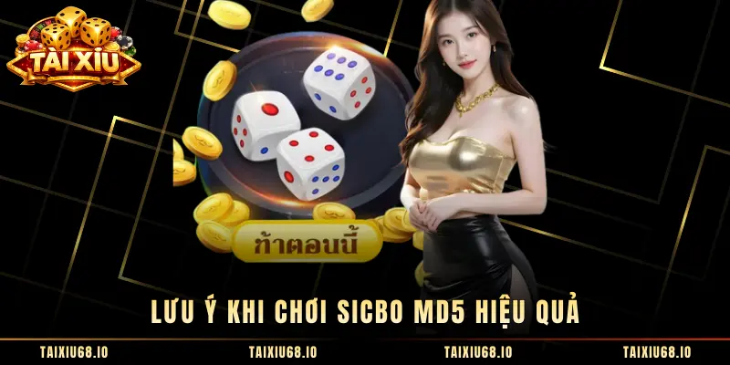 Lưu ý khi chơi Sicbo MD5 hiệu quả