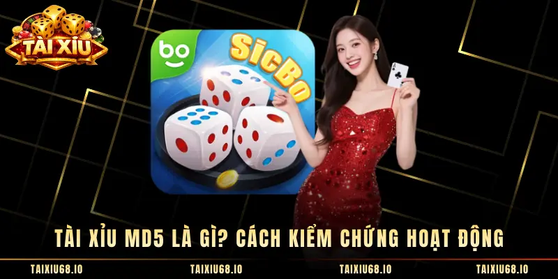 Tài Xỉu MD5 Là Gì? Cách Kiểm Chứng Hoạt Động 